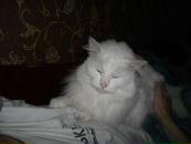 Віра Возняк фотография #29 (источник - https://vk.com/id10850515)