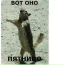 Вероніка Токар фотография #40 (источник - https://vk.com/id174974224)