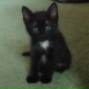 Фотография Тепловой Ларисы