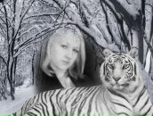 Фотография Фандорин Игорь