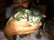 Фотография Хрусталевой Ирины