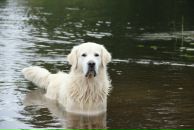 Иван Любченко фотография #33 (источник - https://vk.com/id682883)