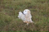 Иван Любченко фотография #45 (источник - https://vk.com/id682883)