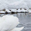 Марічка Кіцюня фотография #43 (источник - https://vk.com/id149621900)