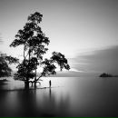 Tudor Cosaceanu фотография #12 (источник - https://vk.com/id155993303)