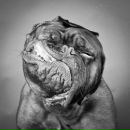 Фотография Цветкова Евгения