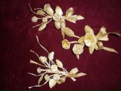 Ольга Іщук фотография #45 (источник - https://vk.com/id139552018)