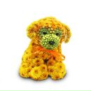 Εвгения Κолесникова фотография #20 (источник - https://vk.com/id169008770)