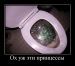  фотография #41