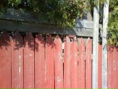 Иван Делов фотография #7 (источник - https://vk.com/id4538633)