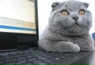 Олександр Бедзір фотография #6 (источник - https://vk.com/id16203303)