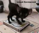 Роман Граціян фотография #29 (источник - https://vk.com/id155727395)
