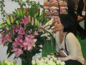 Фотография Ахметовой Инны