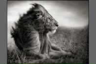 Каріна Широких фотография #2 (источник - https://vk.com/id6081093)