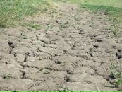 Бодя Вітер фотография #26 (источник - https://vk.com/id19544824)