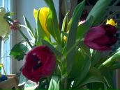 Фотография Фатеевой Анны