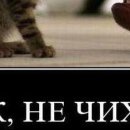 Дєня Євдокименко фотография #49 (источник - https://vk.com/id146939247)