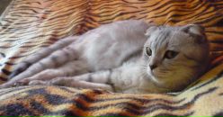 Фотография Склядневой Татьяны