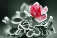 Фотография Колобовой Ирины