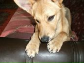 Тимка __ фотография #26 (источник - https://vk.com/id147852110)