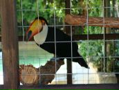 Ирина Щербинина фотография #40 (источник - https://vk.com/id866608)