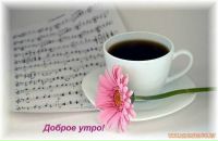 Вероніка Горобець фотография #10 (источник - https://vk.com/id103186440)