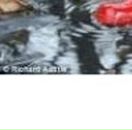 Галя Зінчук фотография #12 (источник - https://vk.com/id66067971)