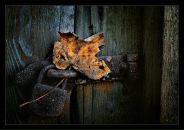 Фотография Ирванёвой Анастасии