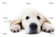 Аліна Василечко фотография #44 (источник - https://vk.com/id150855282)