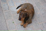 Александр Уваров фотография #31 (источник - https://vk.com/id1874903)