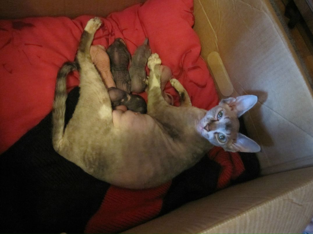 Дмитрий Зайцев фотография #18