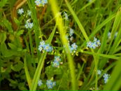 Фотография Брикиной Надежды