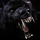 Макс Некіпелий фотография #41 (источник - https://vk.com/id60167589)