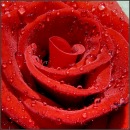 Віталік Сидоренко фотография #15 (источник - https://vk.com/id96005438)