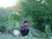 Фотография Ли Кати