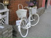 Фотография Медведевой Натальи