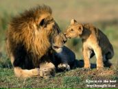 Міша Топоринський фотография #24 (источник - https://vk.com/id62491474)