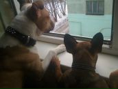 Фотография Рыпакова Максима