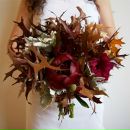 Фотография Горгоны Медузы