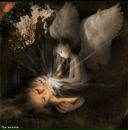 Фотография Чукиной Татьяны