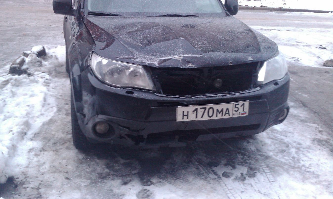 Александр Елёв фотография #4