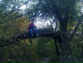 Іштван Кейкеші фотография #38 (источник - https://vk.com/id68492376)