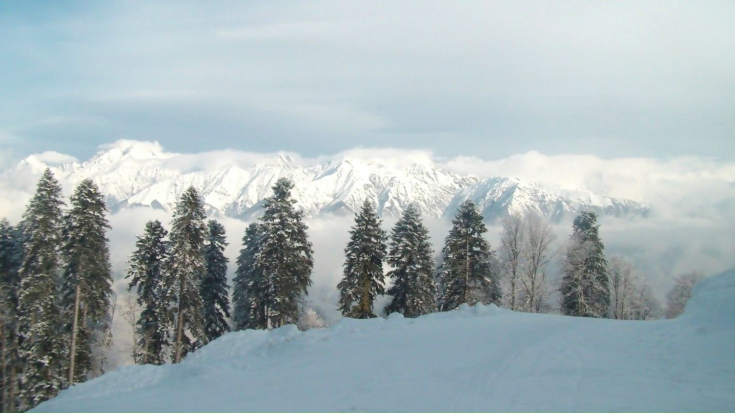 Мария Лета фотография #46