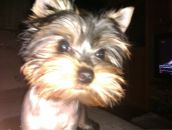 Фотография Кудриной Кристины