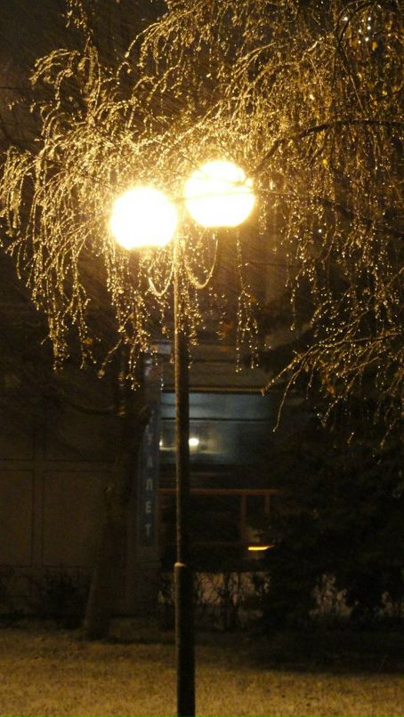 Victor Sheremetker фотография #28