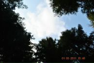 Лесічка Левчук-Онойко фотография #12 (источник - https://vk.com/id69324117)