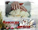 Світлана Цимбота фотография #15 (источник - https://vk.com/id143973657)