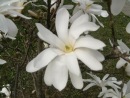 Фотография Марина