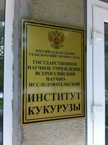 №11, Камиль Кедр, 120 лет, Нижнекамск №11, Камиль Кедр, 120 лет, Нижнекамск