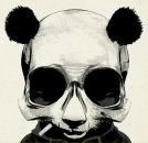 Mr. White фотография #16 (источник - https://vk.com/id15201622)